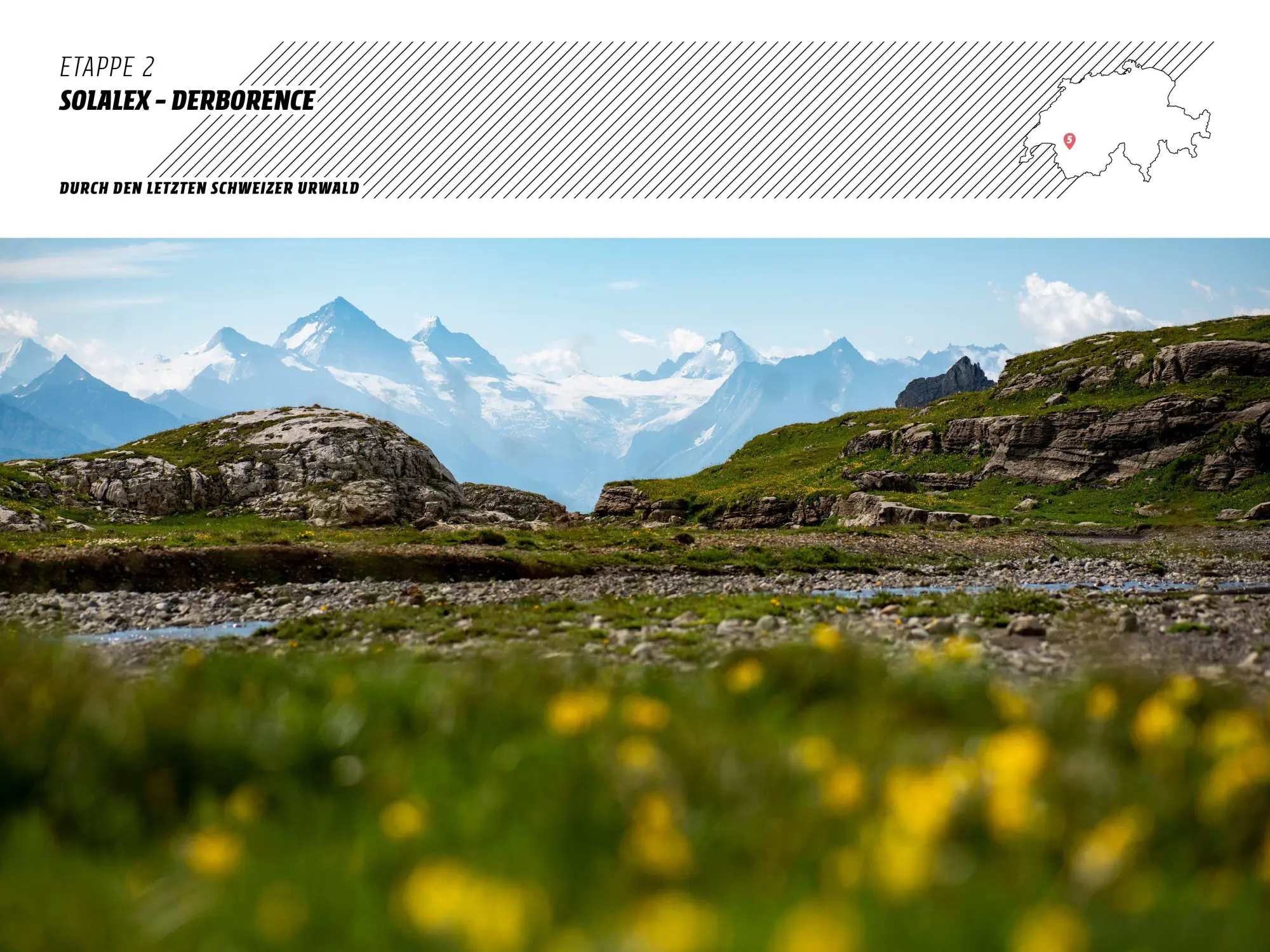 Bild: 9783039641338 | Trekking in den Schweizer Alpen | Pierre Pauquay | Taschenbuch | 2026