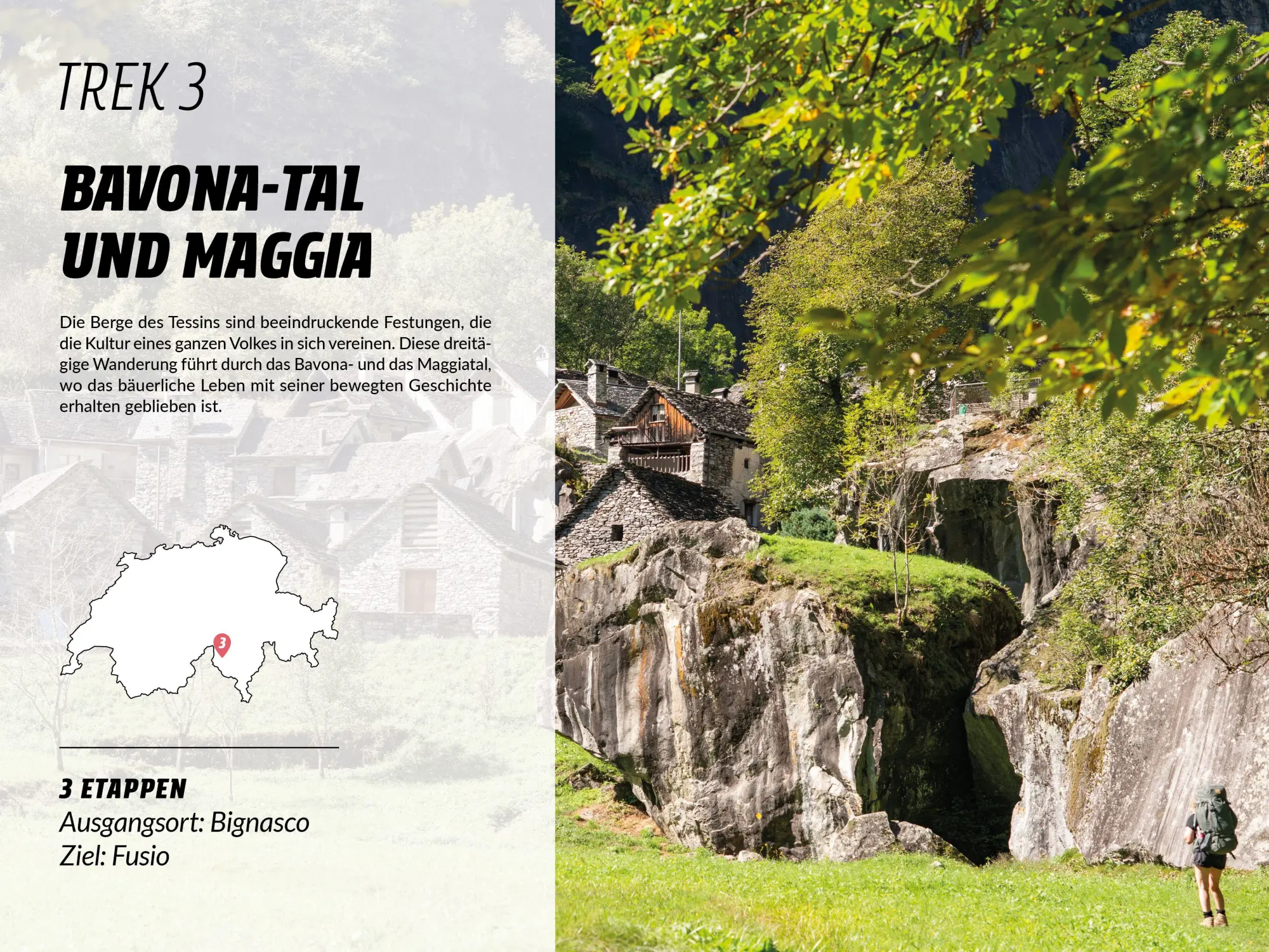 Bild: 9783039641338 | Trekking in den Schweizer Alpen | Pierre Pauquay | Taschenbuch | 2026