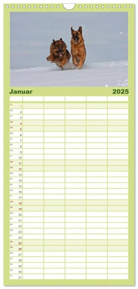 Bild: 9783457111338 | Familienplaner 2025 - Der Schäferhunde Familienplaner hoch mit 5...