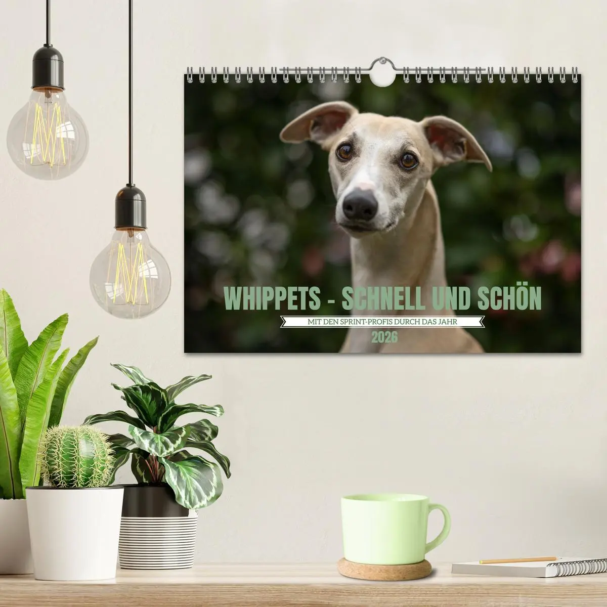 Bild: 9783457591338 | WHIPPETS - SCHNELL UND SCHÖN (Wandkalender 2026 DIN A4 quer),...