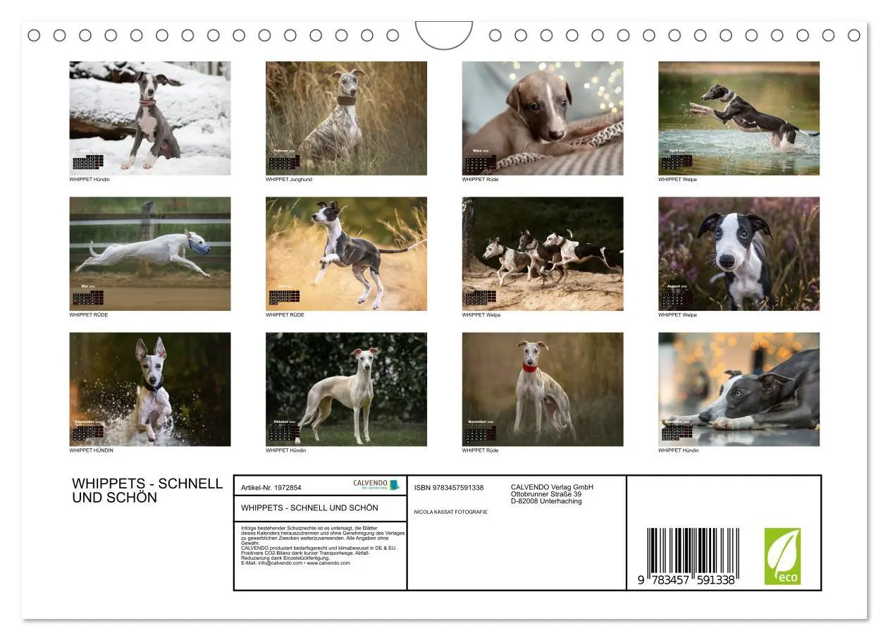 Bild: 9783457591338 | WHIPPETS - SCHNELL UND SCHÖN (Wandkalender 2026 DIN A4 quer),...