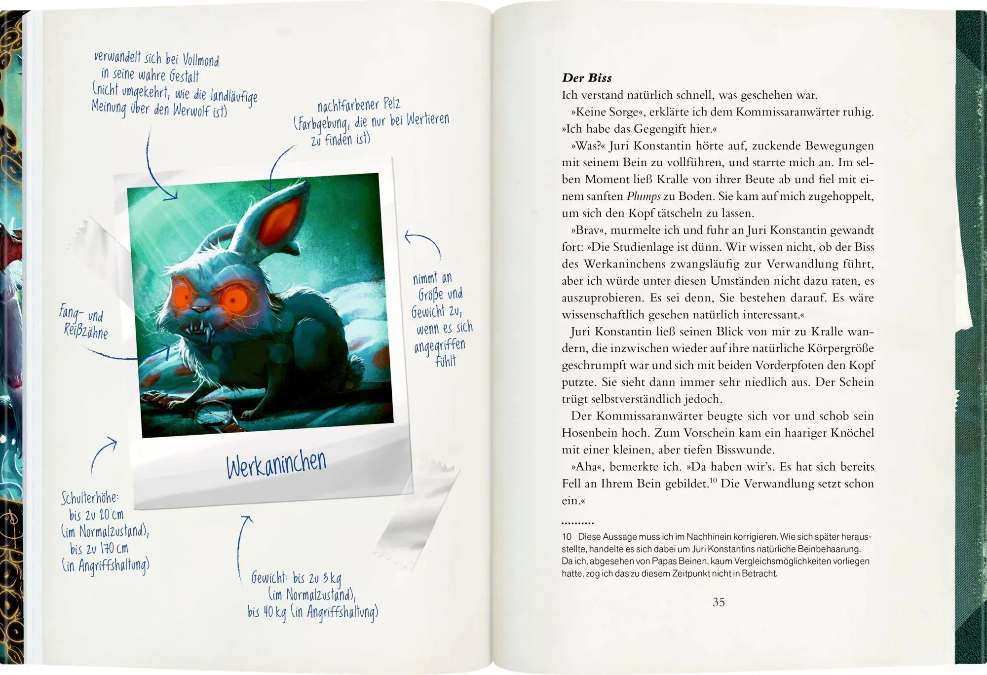 Bild: 9783649651338 | Smeralda Bohms Bestiarium (Bd. 1) | Anja Fislage | Buch | 352 S.
