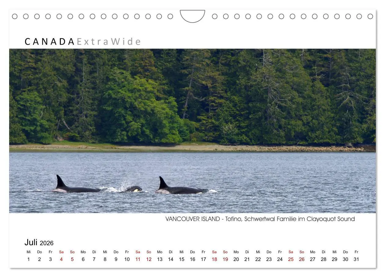 Bild: 9783457271438 | Vancouver Island Panoramabilder (Wandkalender 2026 DIN A4 quer),...