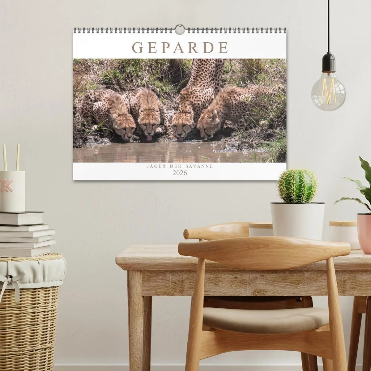 Bild: 9783457891438 | Geparde - Jäger der Savanne (Wandkalender 2026 DIN A3 quer),...
