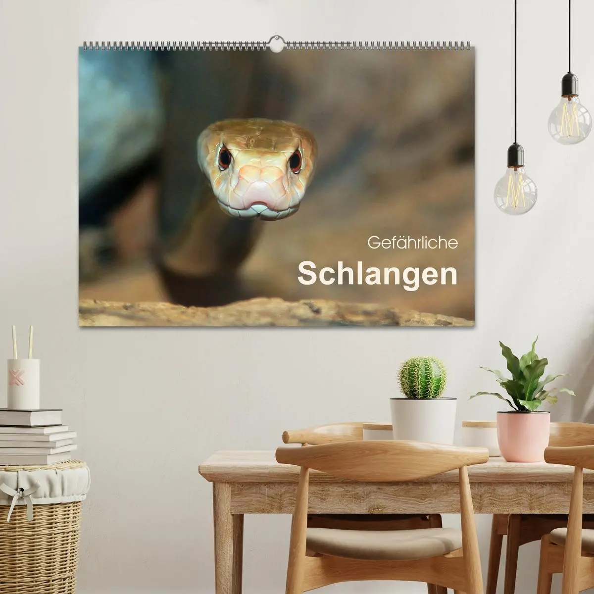 Bild: 9783516051438 | Gefährliche Schlangen (Wandkalender 2026 DIN A2 quer), CALVENDO...