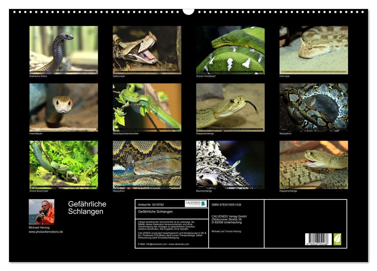 Bild: 9783516051438 | Gefährliche Schlangen (Wandkalender 2026 DIN A2 quer), CALVENDO...