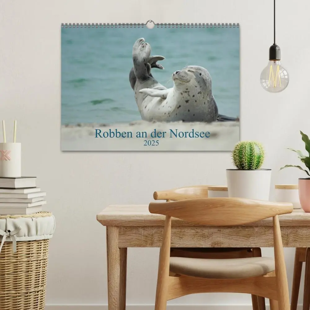 Bild: 9783435481538 | Robben an der Nordsee (Wandkalender 2025 DIN A3 quer), CALVENDO...