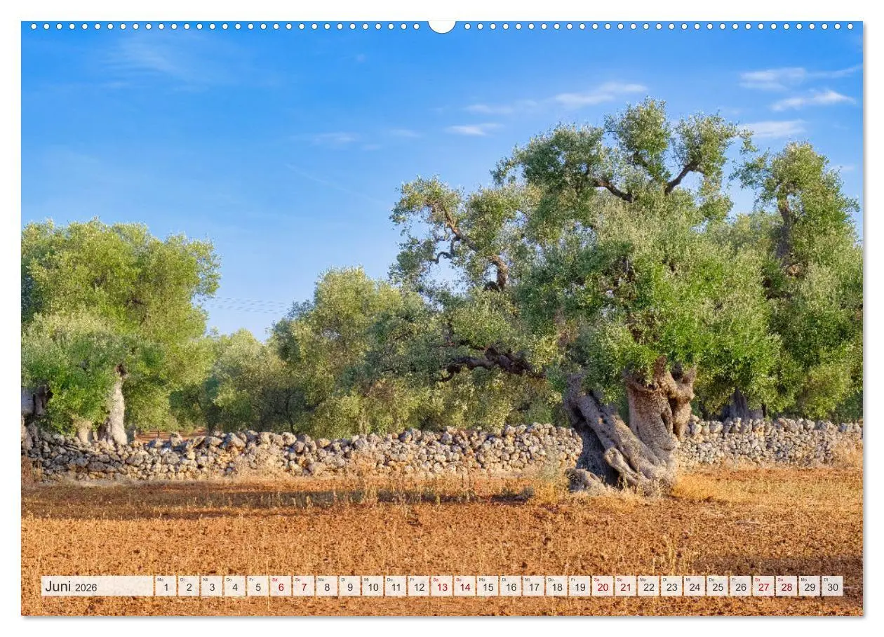 Bild: 9783457331538 | Faszinierendes Apulien (Wandkalender 2026 DIN A2 quer), CALVENDO...
