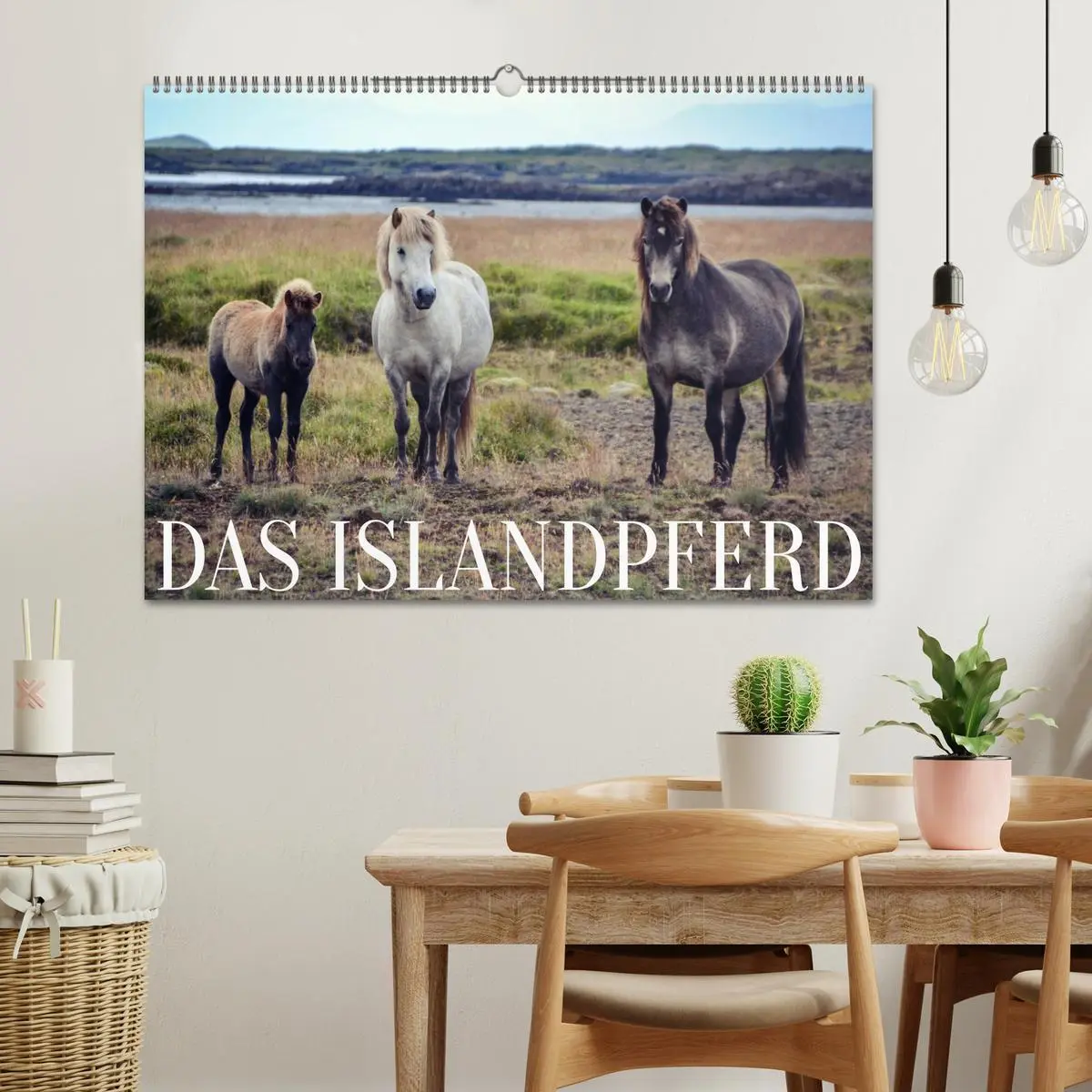 Bild: 9783457641538 | Das Islandpferd (Wandkalender 2026 DIN A2 quer), CALVENDO...