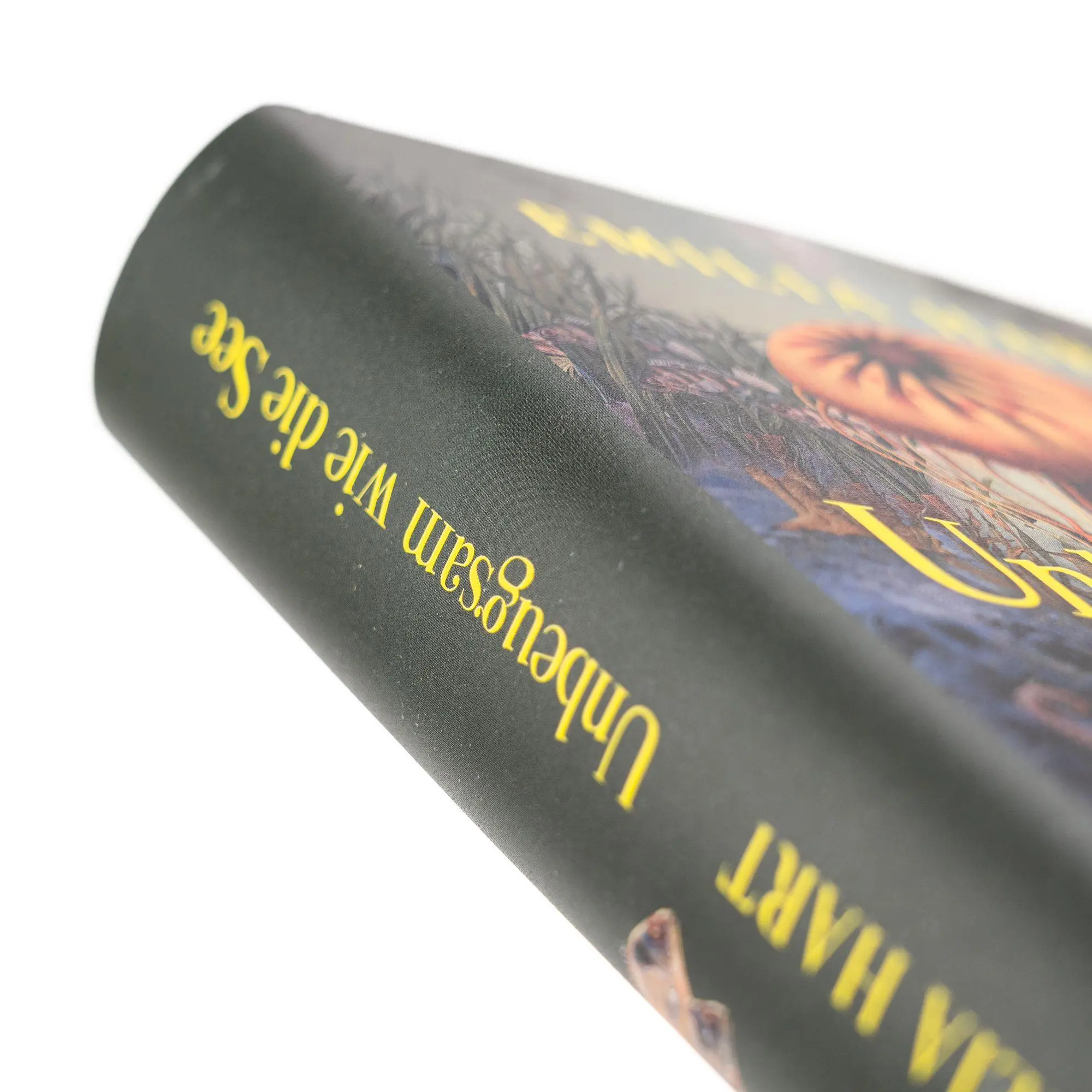Bild: 9783365011638 | Unbeugsam wie die See | Emilia Hart | Buch | 416 S. | Deutsch | 2025