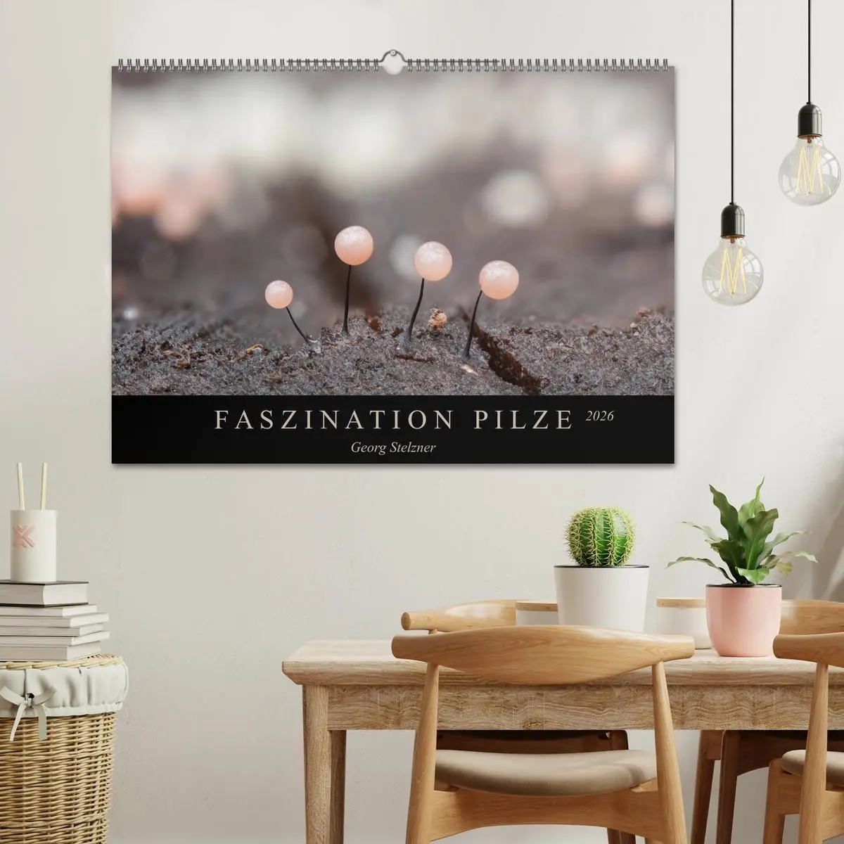 Bild: 9783457871638 | FASZINATION PILZE 2026 (Wandkalender 2026 DIN A2 quer), CALVENDO...