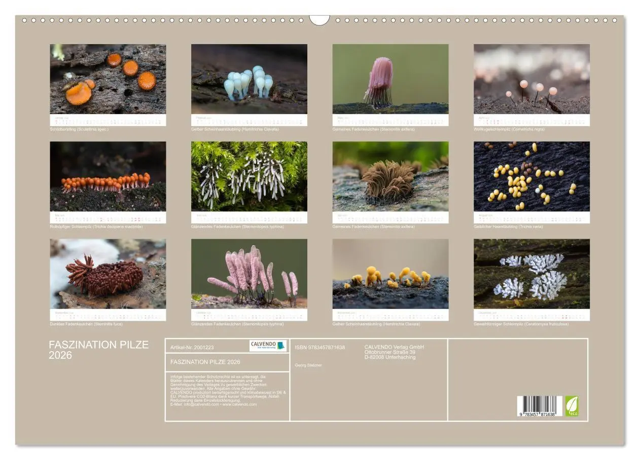 Bild: 9783457871638 | FASZINATION PILZE 2026 (Wandkalender 2026 DIN A2 quer), CALVENDO...