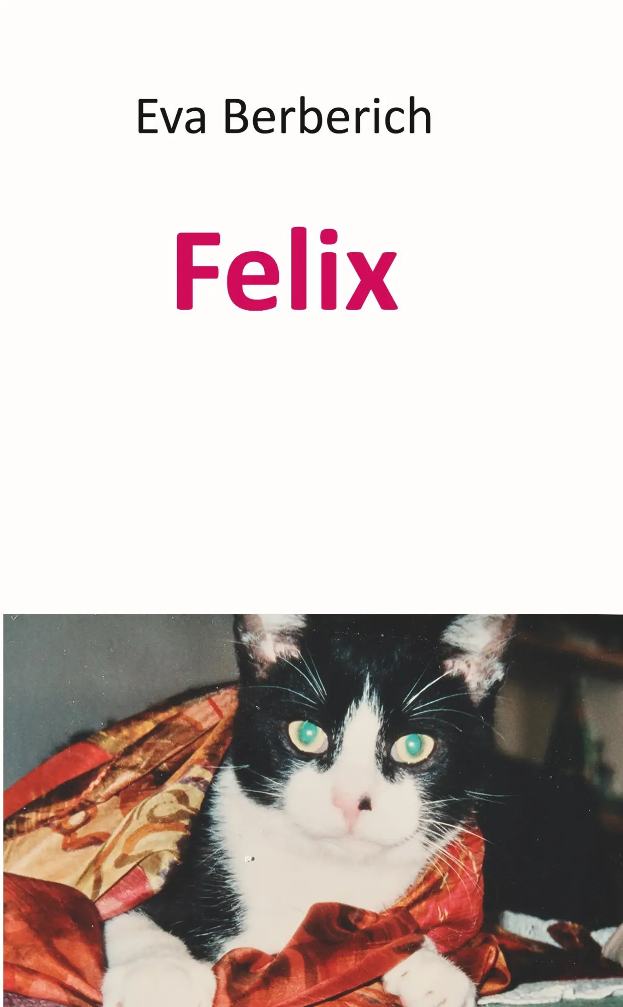 Cover: 9783743981638 | Felix | Eva Berberich | Taschenbuch | 76 S. | Deutsch | 2017