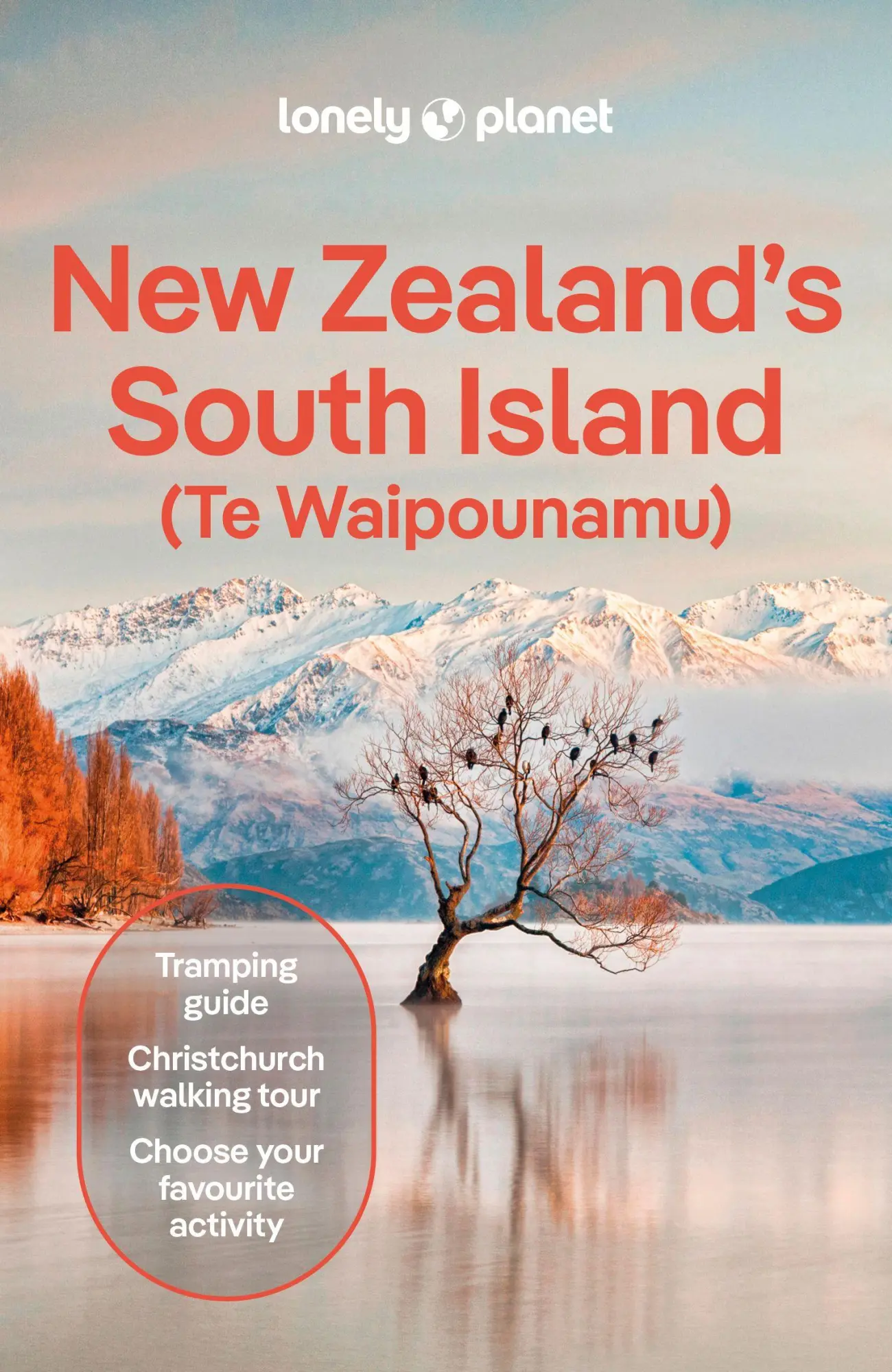 Cover: 9781838691738 | Lonely Planet New Zealand's South Island | Brett Atkinson (u. a.)