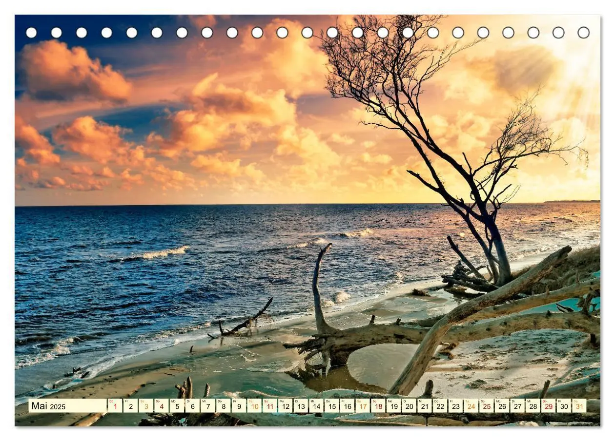 Bild: 9783435081738 | Romantische Ostsee - mein Urlaub (Tischkalender 2025 DIN A5 quer),...