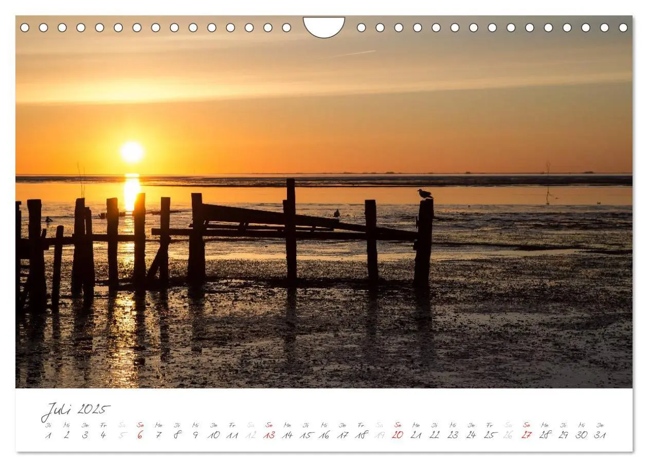Bild: 9783435601738 | Amrum - Eine farbenfrohe Insellandschaft (Wandkalender 2025 DIN A4...