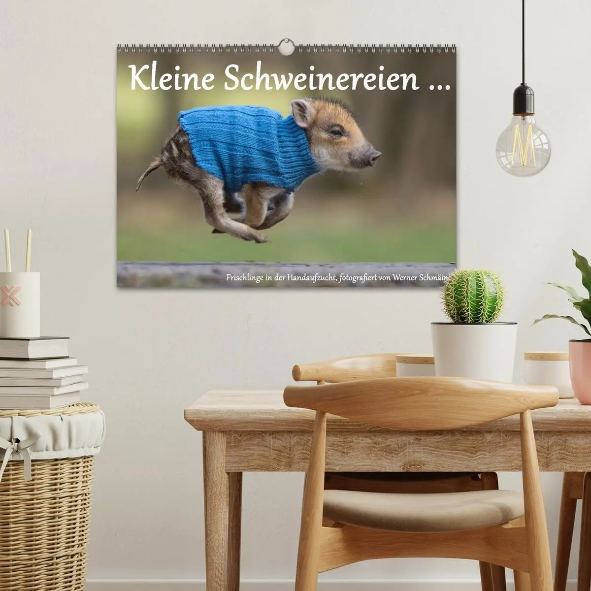 Bild: 9783516001938 | Kleine Schweinereien (Wandkalender 2026 DIN A3 quer), CALVENDO...
