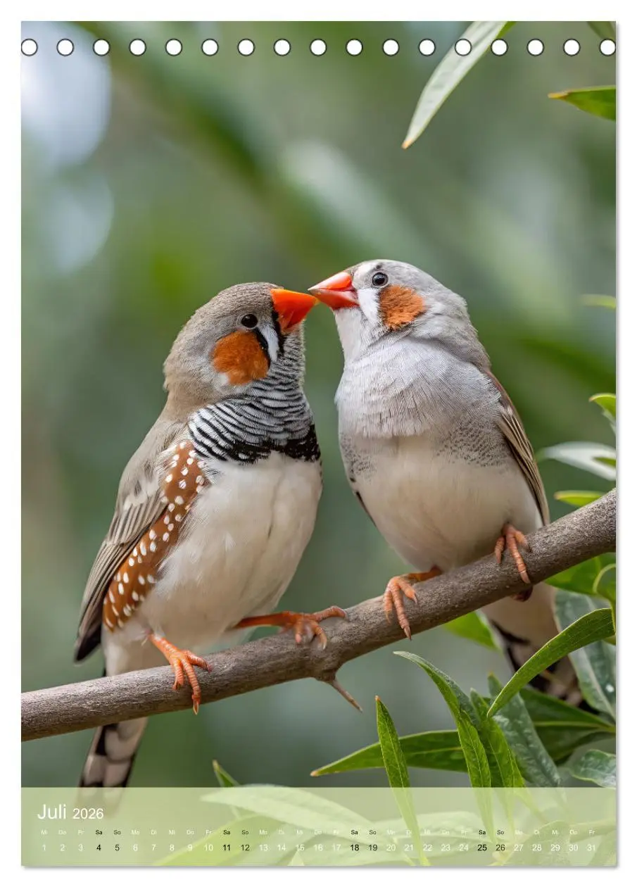 Bild: 9783516241938 | Zebrafinken - Ein Jahr voller gefiederter Momente (Tischkalender...