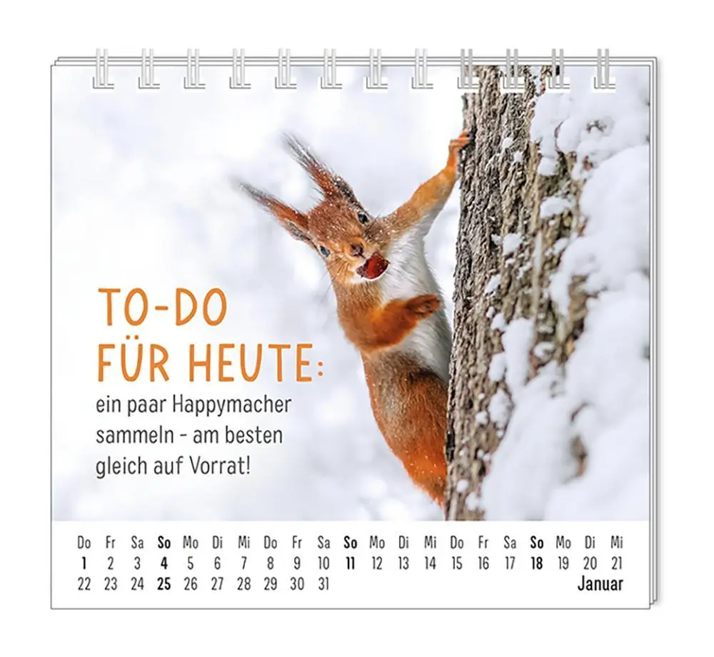Bild: 9783986361938 | Mini-Kalender 2026 Happymacher | Mini-Kalender | Original | Kalender