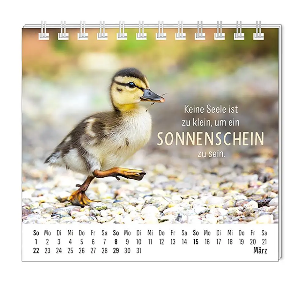 Bild: 9783986361938 | Mini-Kalender 2026 Happymacher | Mini-Kalender | Original | Kalender