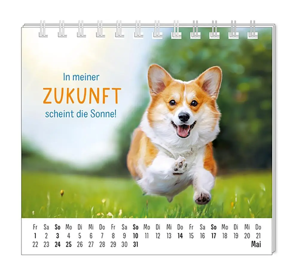 Bild: 9783986361938 | Mini-Kalender 2026 Happymacher | Mini-Kalender | Original | Kalender