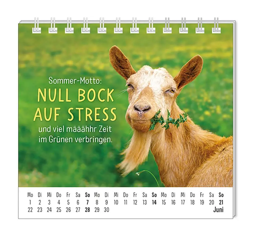 Bild: 9783986361938 | Mini-Kalender 2026 Happymacher | Mini-Kalender | Original | Kalender