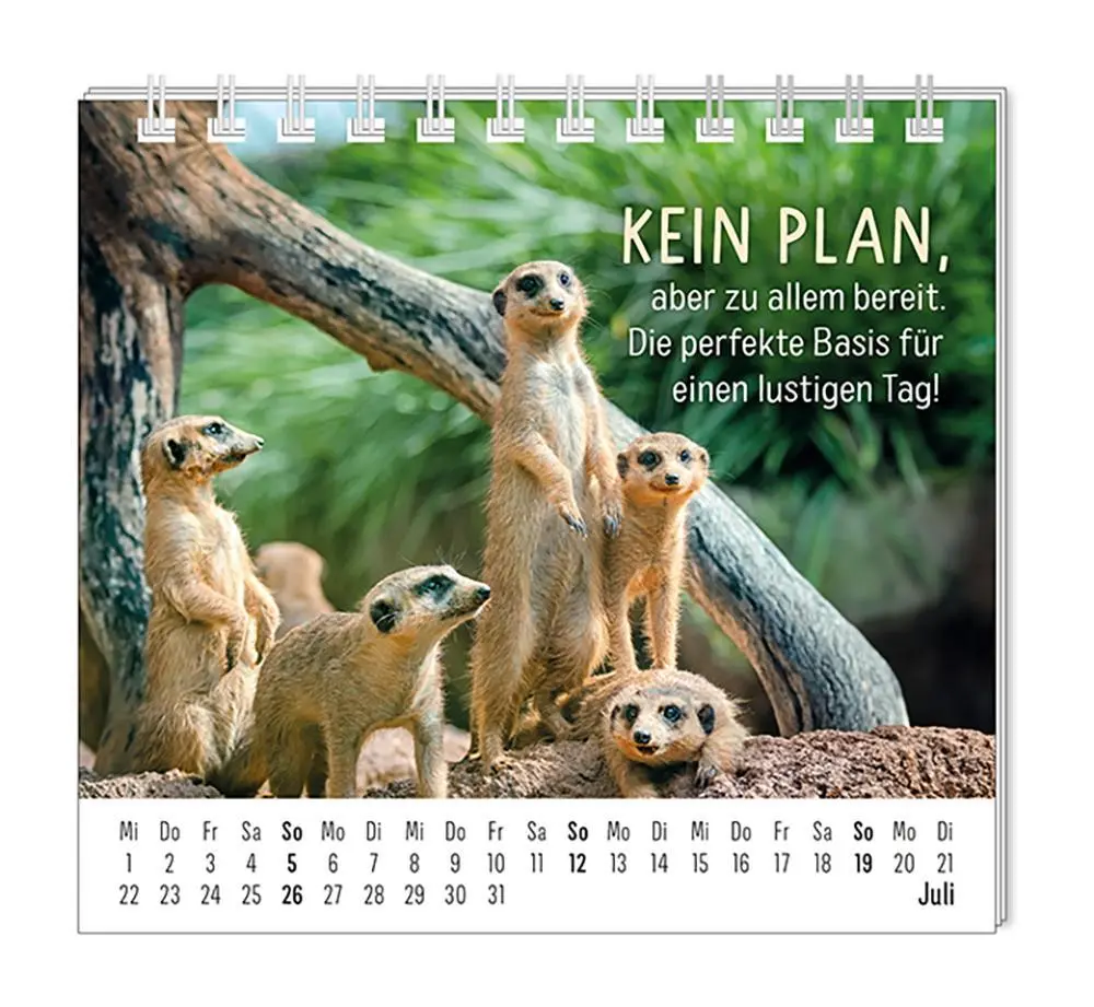 Bild: 9783986361938 | Mini-Kalender 2026 Happymacher | Mini-Kalender | Original | Kalender