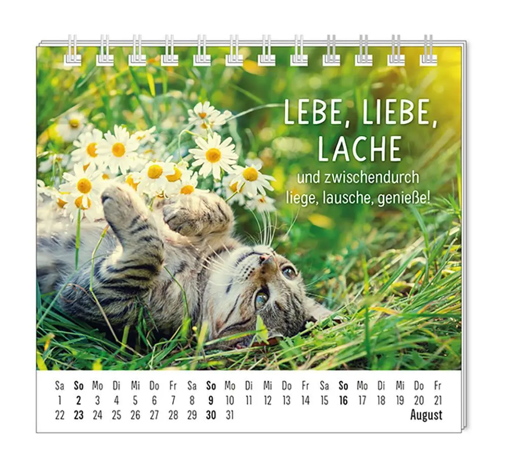 Bild: 9783986361938 | Mini-Kalender 2026 Happymacher | Mini-Kalender | Original | Kalender