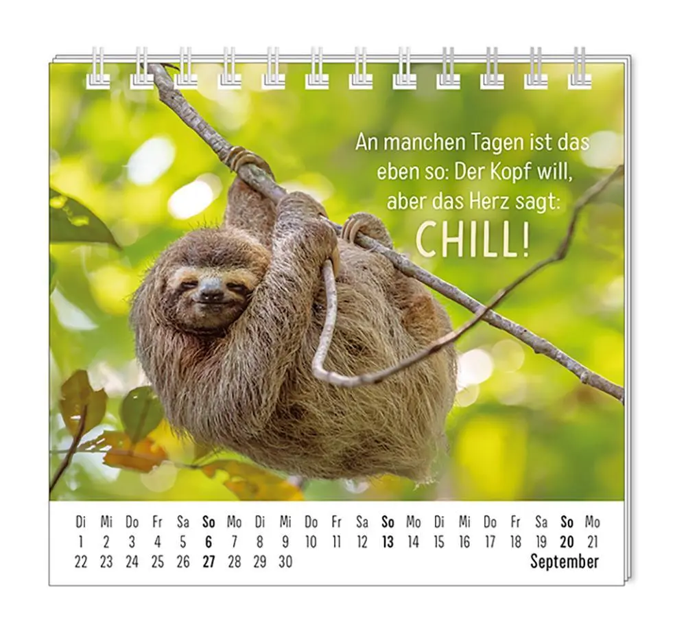 Bild: 9783986361938 | Mini-Kalender 2026 Happymacher | Mini-Kalender | Original | Kalender