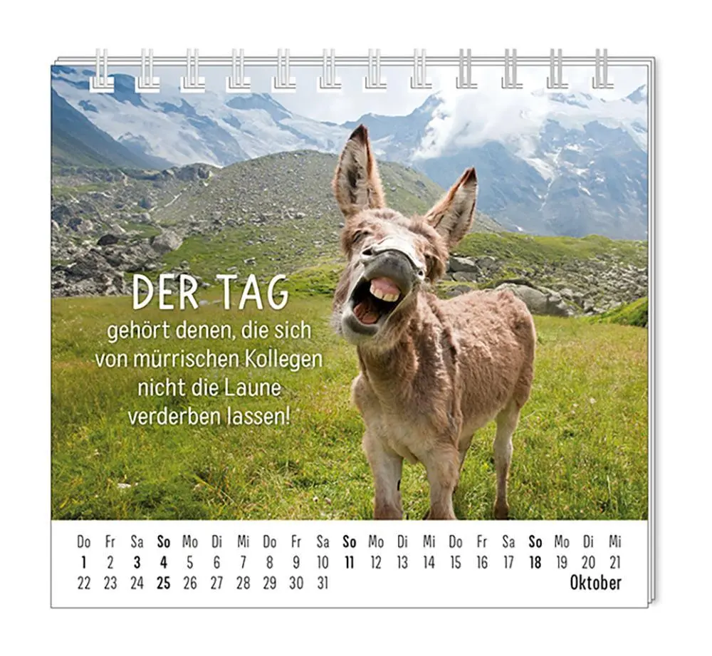 Bild: 9783986361938 | Mini-Kalender 2026 Happymacher | Mini-Kalender | Original | Kalender