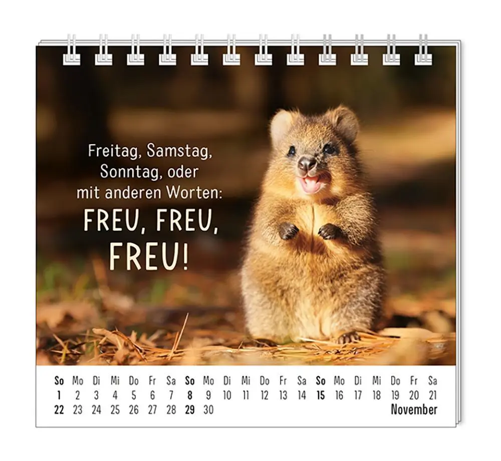 Bild: 9783986361938 | Mini-Kalender 2026 Happymacher | Mini-Kalender | Original | Kalender
