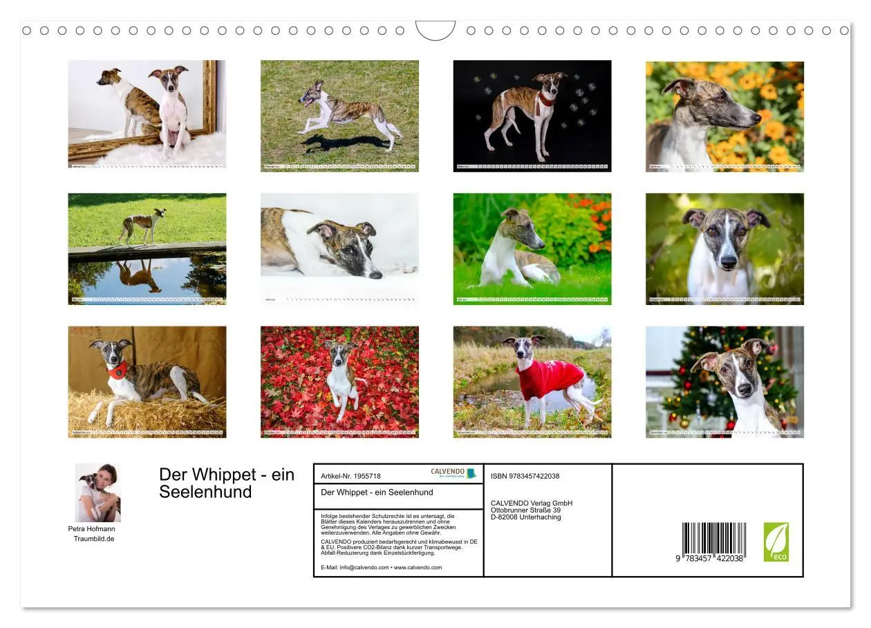Bild: 9783457422038 | Der Whippet - ein Seelenhund (Wandkalender 2026 DIN A3 quer),...
