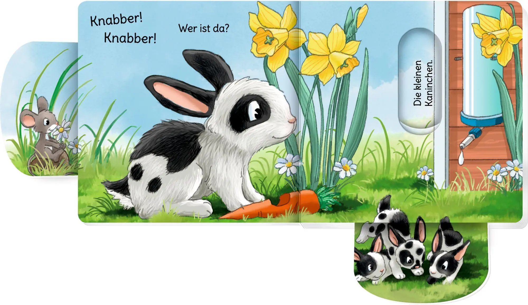 Bild: 9783649652038 | minifanten 47: Quak! Quak! Wer ist da? | Antje Flad | Buch | 14 S.