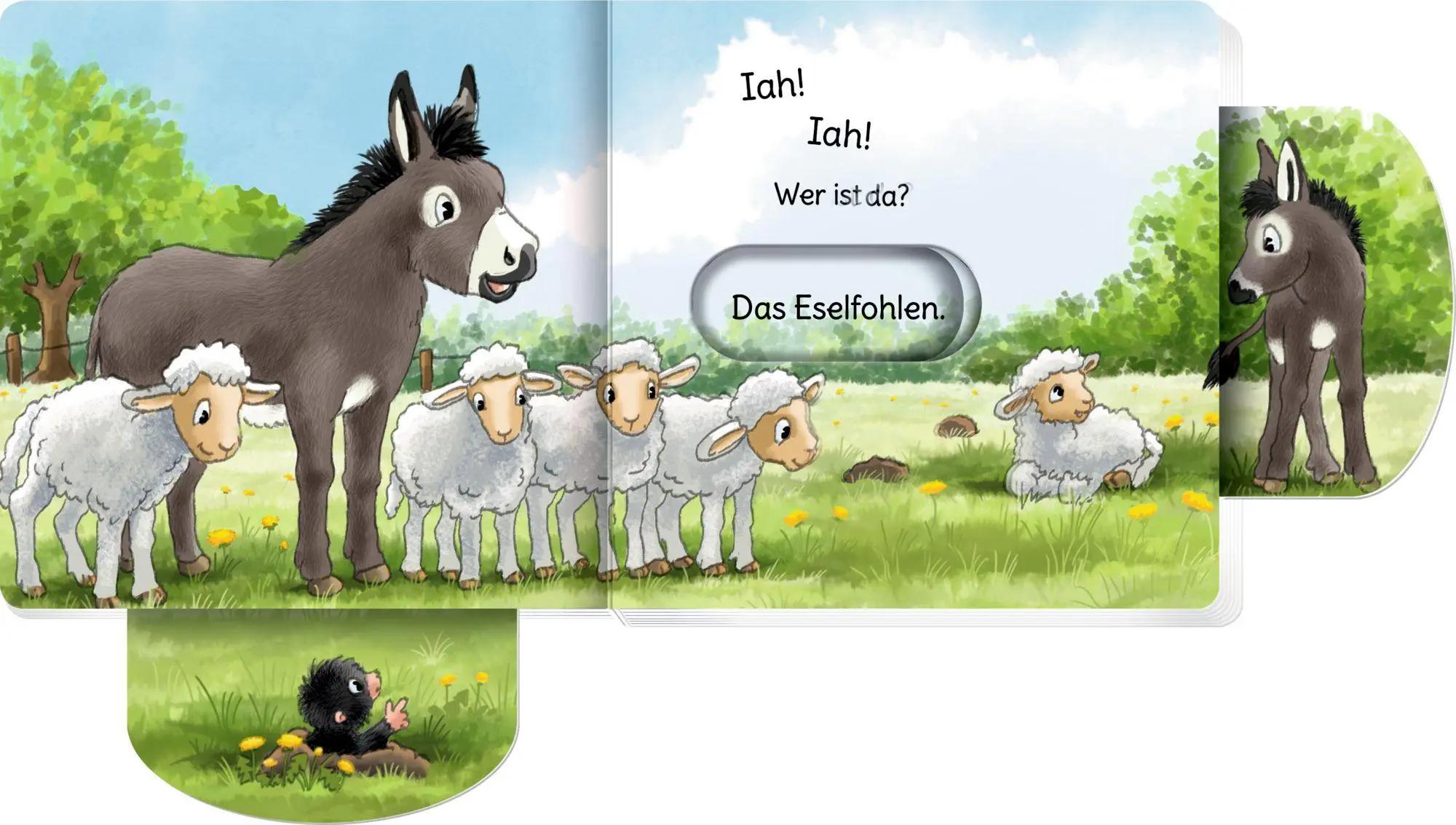 Bild: 9783649652038 | minifanten 47: Quak! Quak! Wer ist da? | Antje Flad | Buch | 14 S.