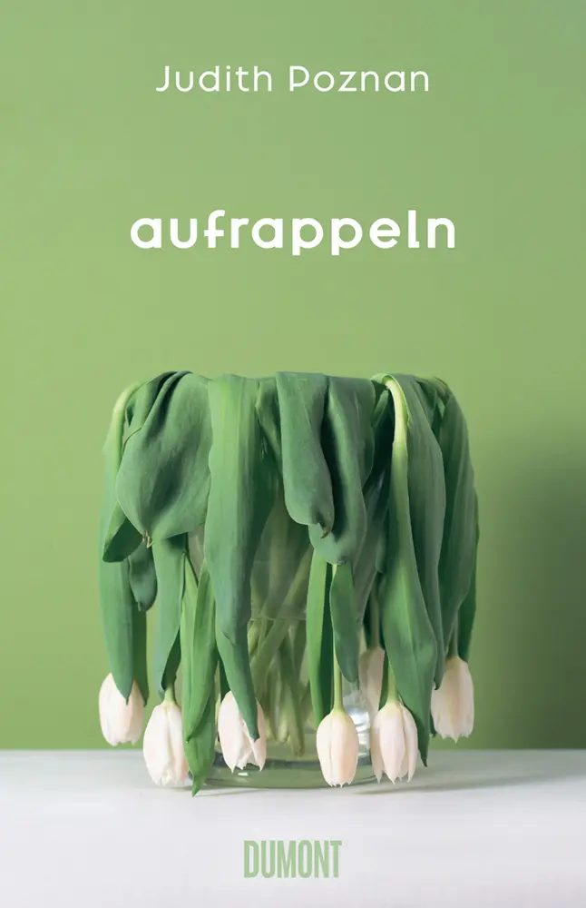 Cover: 9783832182038 | Aufrappeln | Roman | Judith Poznan | Buch | 157 S. | Deutsch | 2023