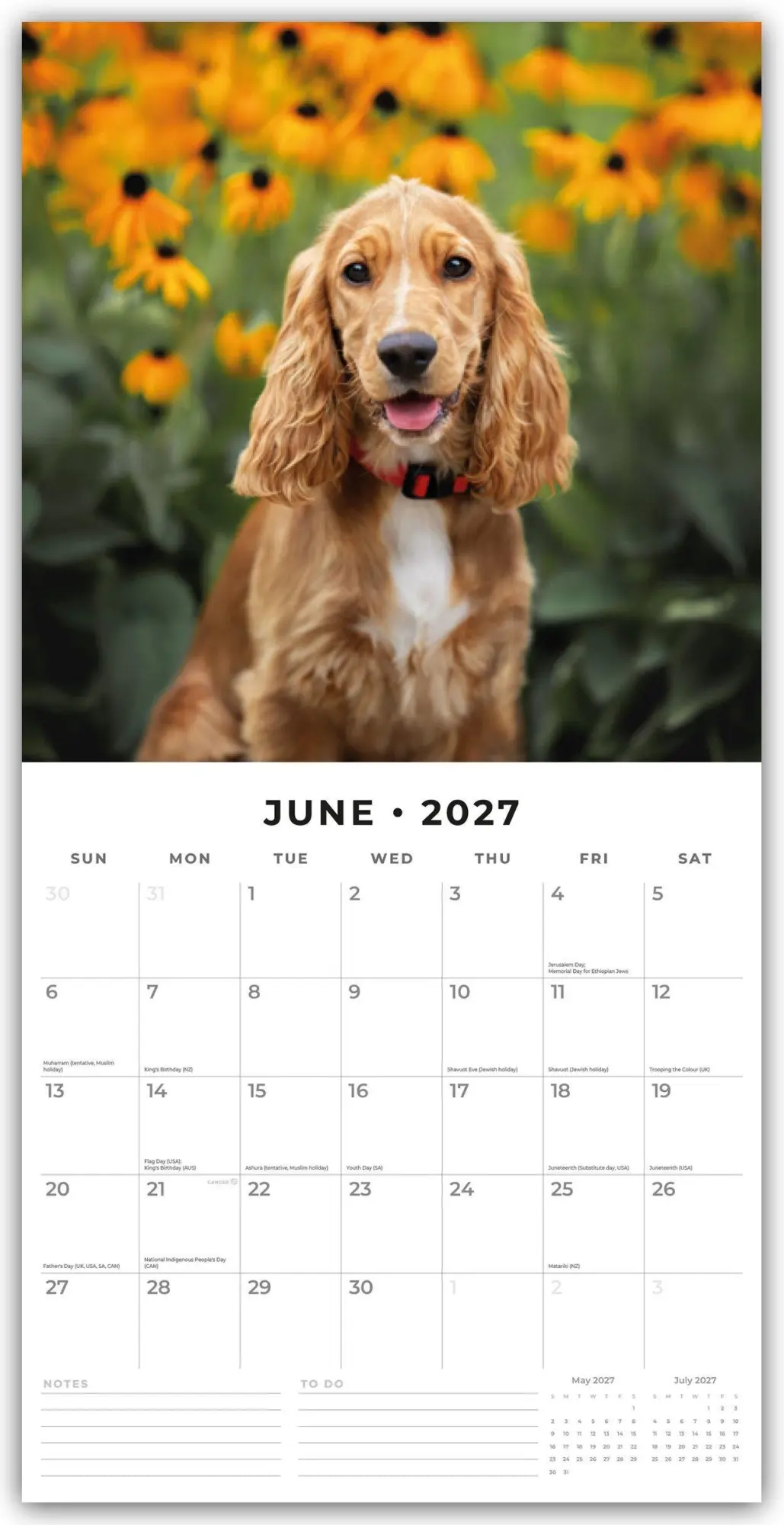 Bild: 9781837012138 | Cocker Spaniels - Cocker Spaniel 2027 - 16-Monatskalender | Robin Red