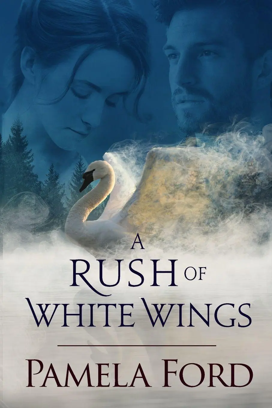 Cover: 9781944792138 | A Rush of White Wings | An Irish historical love story | Pamela Ford