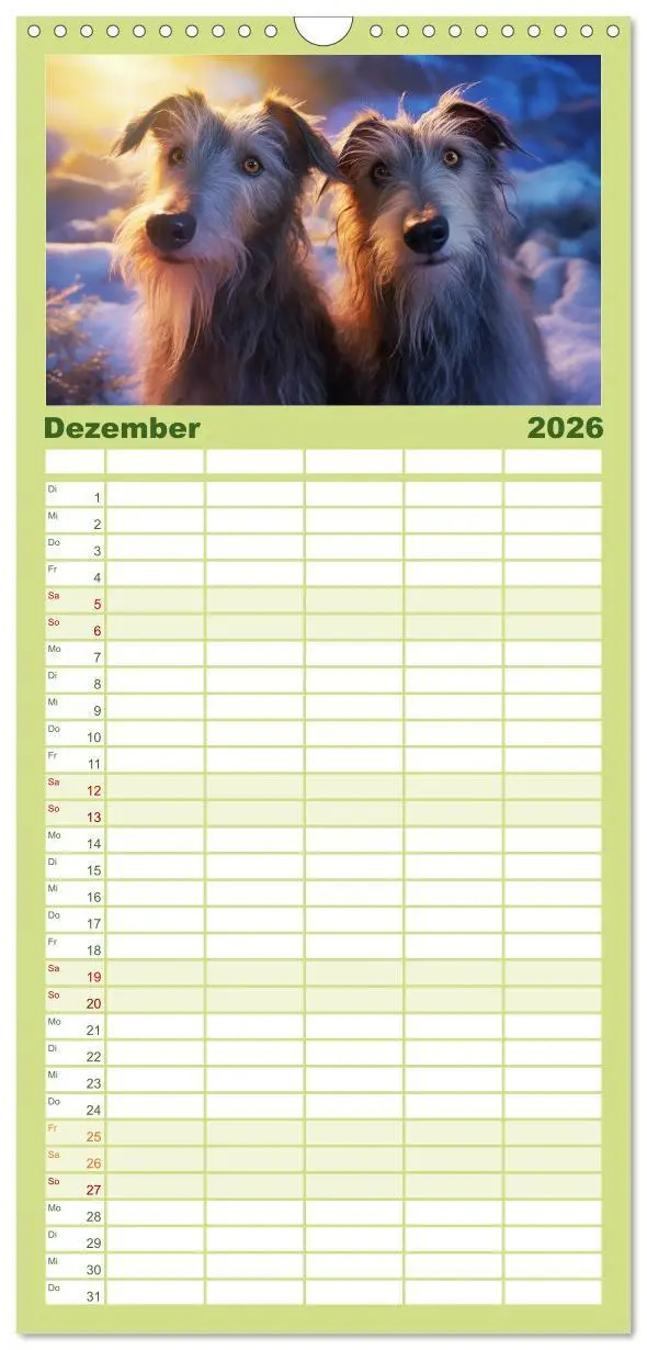Bild: 9783516502138 | Familienplaner 2026 - Lurcher Portraits - Zwei Welpen entdecken die...