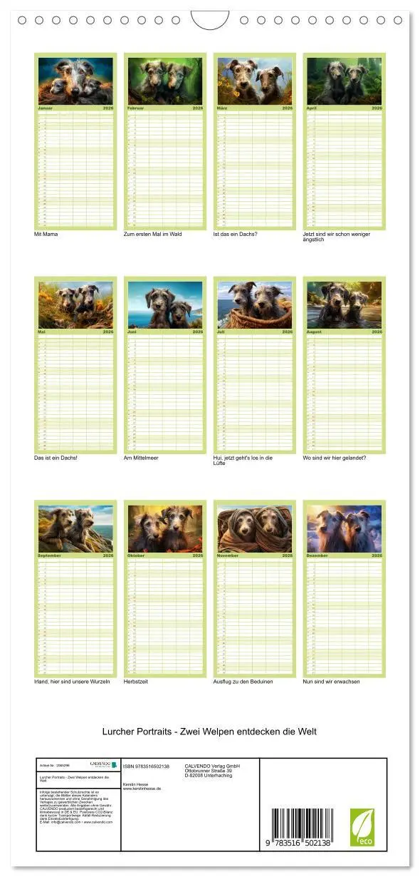 Bild: 9783516502138 | Familienplaner 2026 - Lurcher Portraits - Zwei Welpen entdecken die...