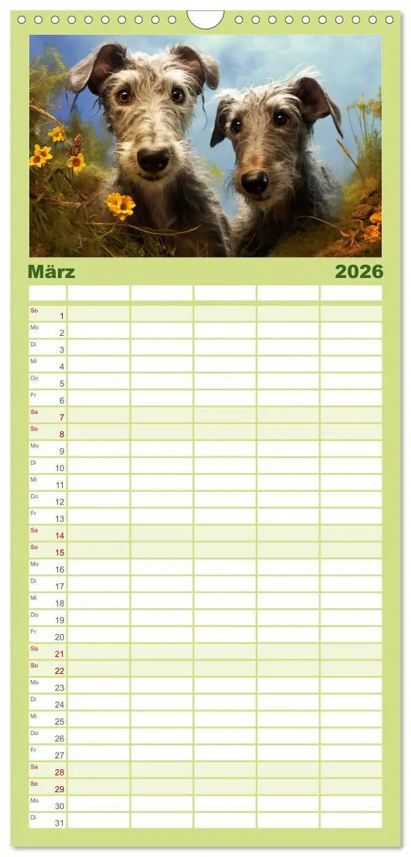 Bild: 9783516502138 | Familienplaner 2026 - Lurcher Portraits - Zwei Welpen entdecken die...