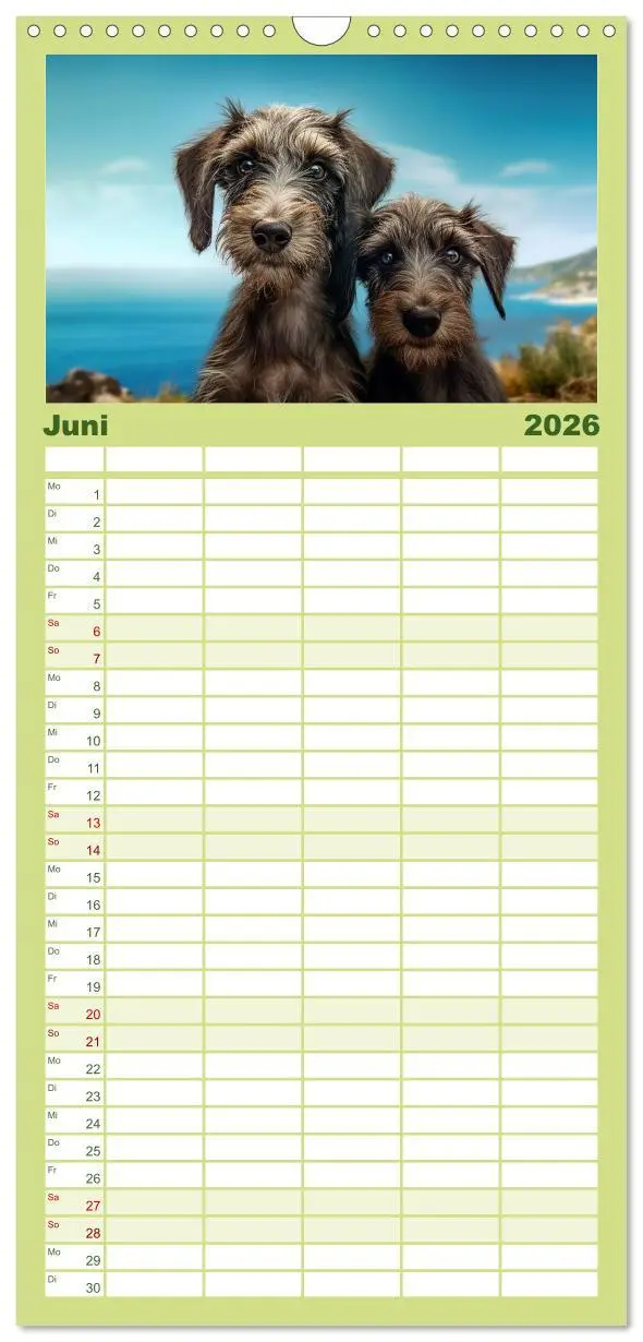 Bild: 9783516502138 | Familienplaner 2026 - Lurcher Portraits - Zwei Welpen entdecken die...