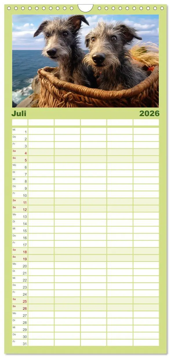 Bild: 9783516502138 | Familienplaner 2026 - Lurcher Portraits - Zwei Welpen entdecken die...