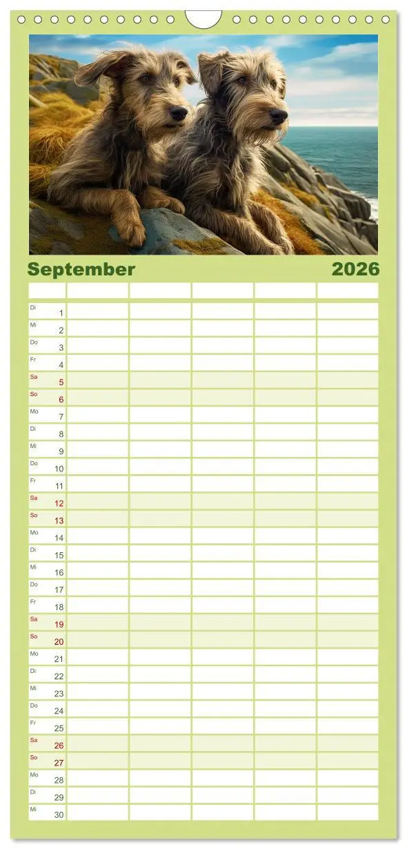 Bild: 9783516502138 | Familienplaner 2026 - Lurcher Portraits - Zwei Welpen entdecken die...