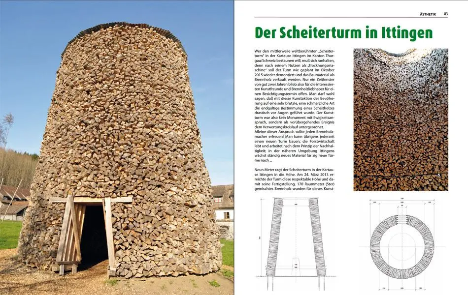 Bild: 9783980512138 | Brennholz | Technik &amp; Ästhetik | Dieter Biernath | Buch | Deutsch