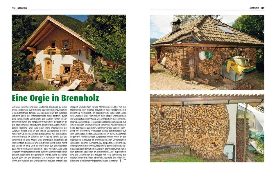Bild: 9783980512138 | Brennholz | Technik &amp; Ästhetik | Dieter Biernath | Buch | Deutsch