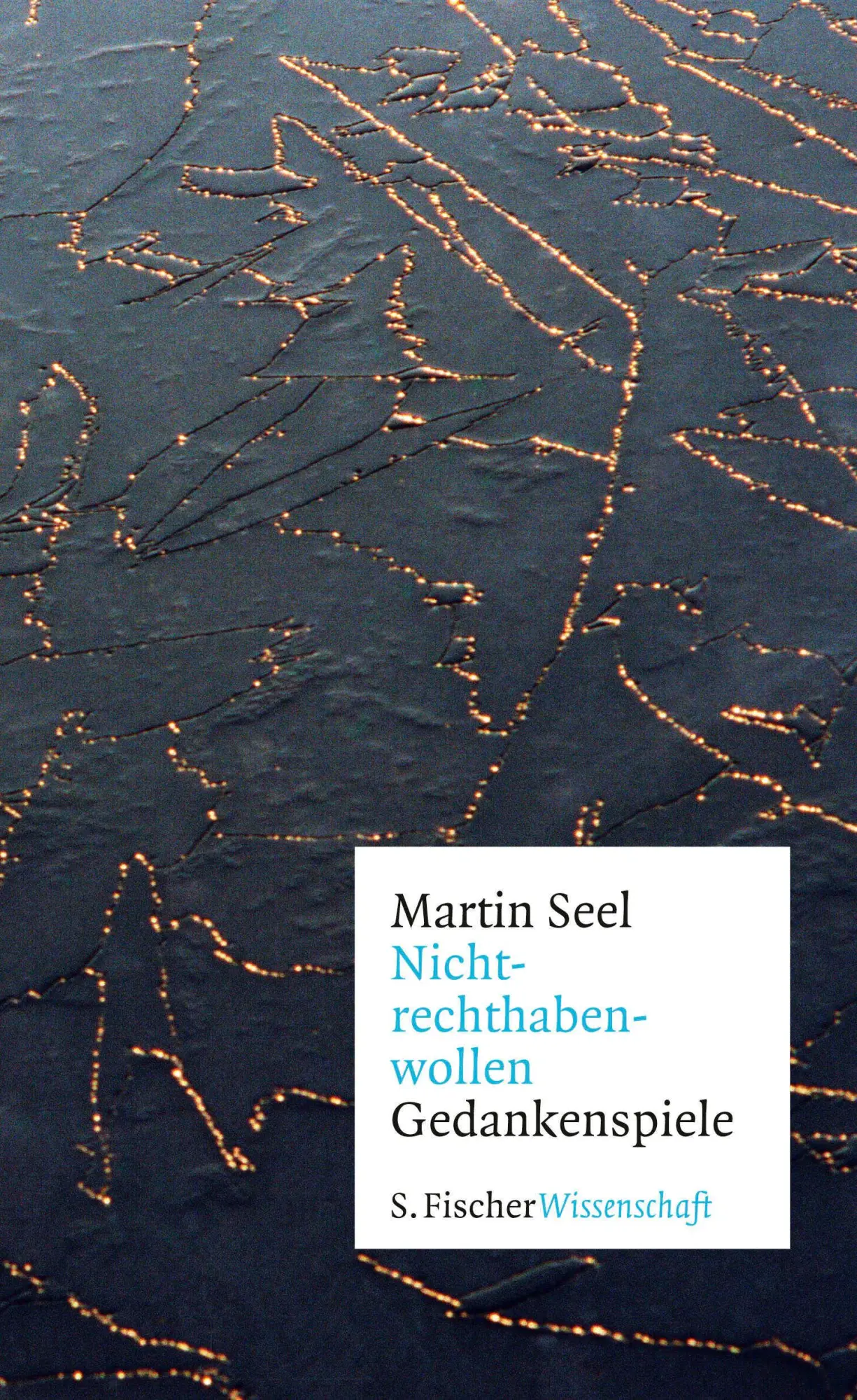 Cover: 9783103972238 | Nichtrechthabenwollen | Gedankenspiele | Martin Seel | Buch | 160 S.