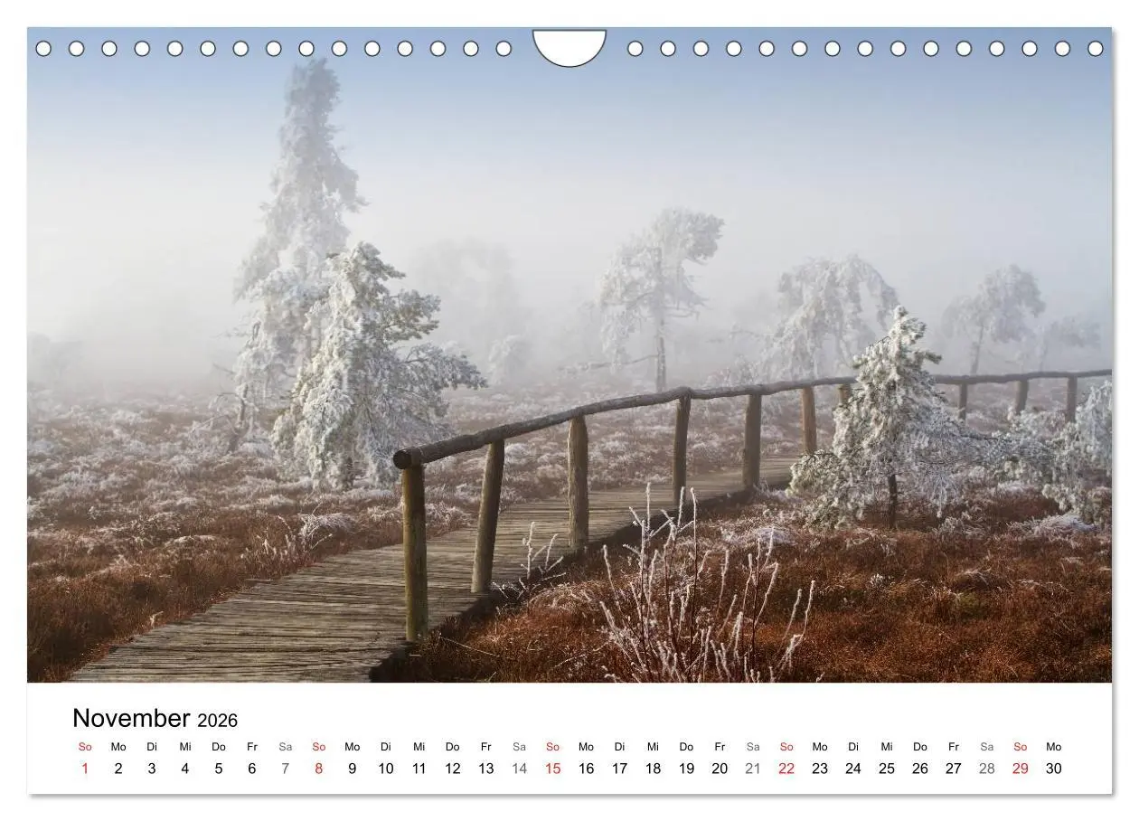 Bild: 9783457952238 | Die Rhön (Wandkalender 2026 DIN A4 quer), CALVENDO Monatskalender