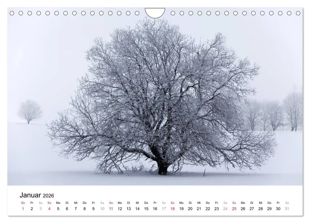 Bild: 9783457952238 | Die Rhön (Wandkalender 2026 DIN A4 quer), CALVENDO Monatskalender