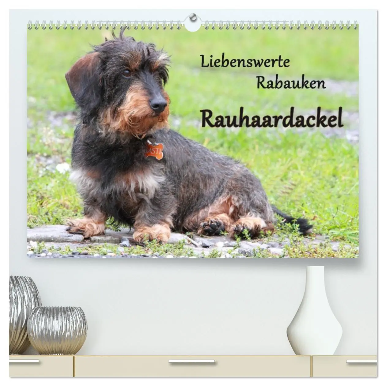 Cover: 9783516112238 | Liebenswerte Rabauken Rauhaardackel / CH-Version (hochwertiger...