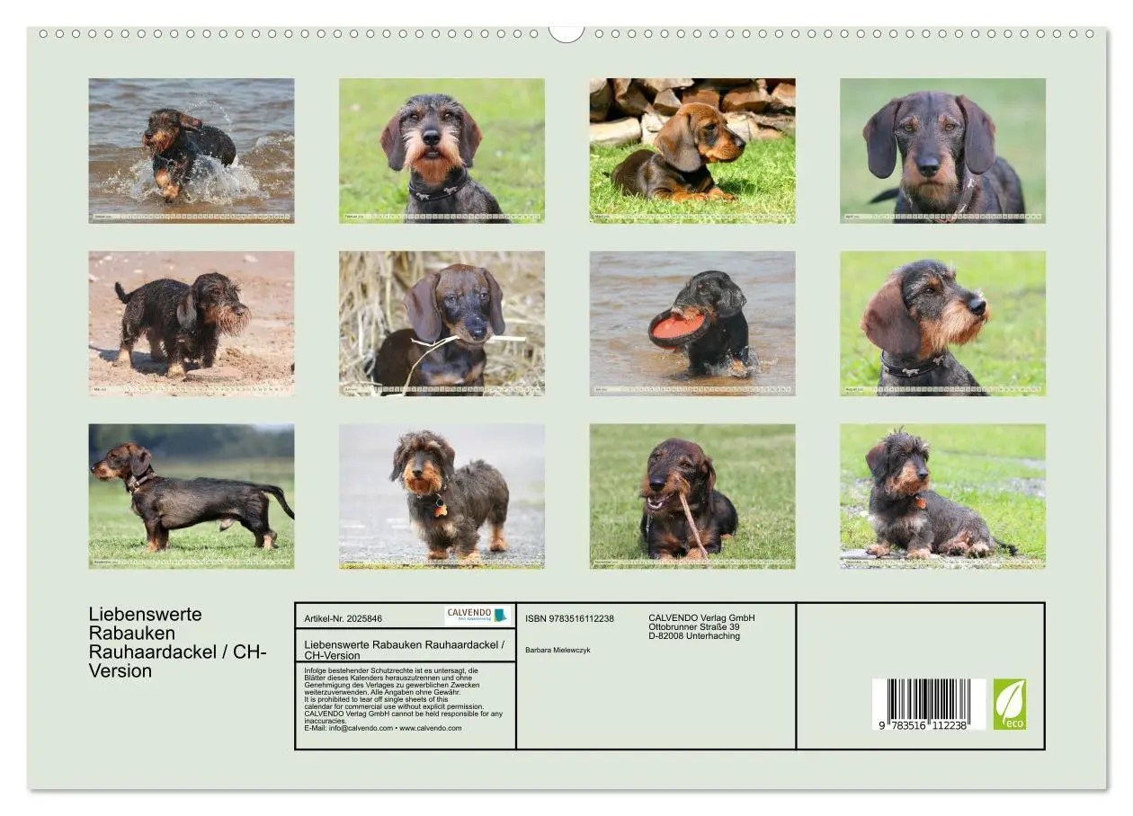 Bild: 9783516112238 | Liebenswerte Rabauken Rauhaardackel / CH-Version (hochwertiger...